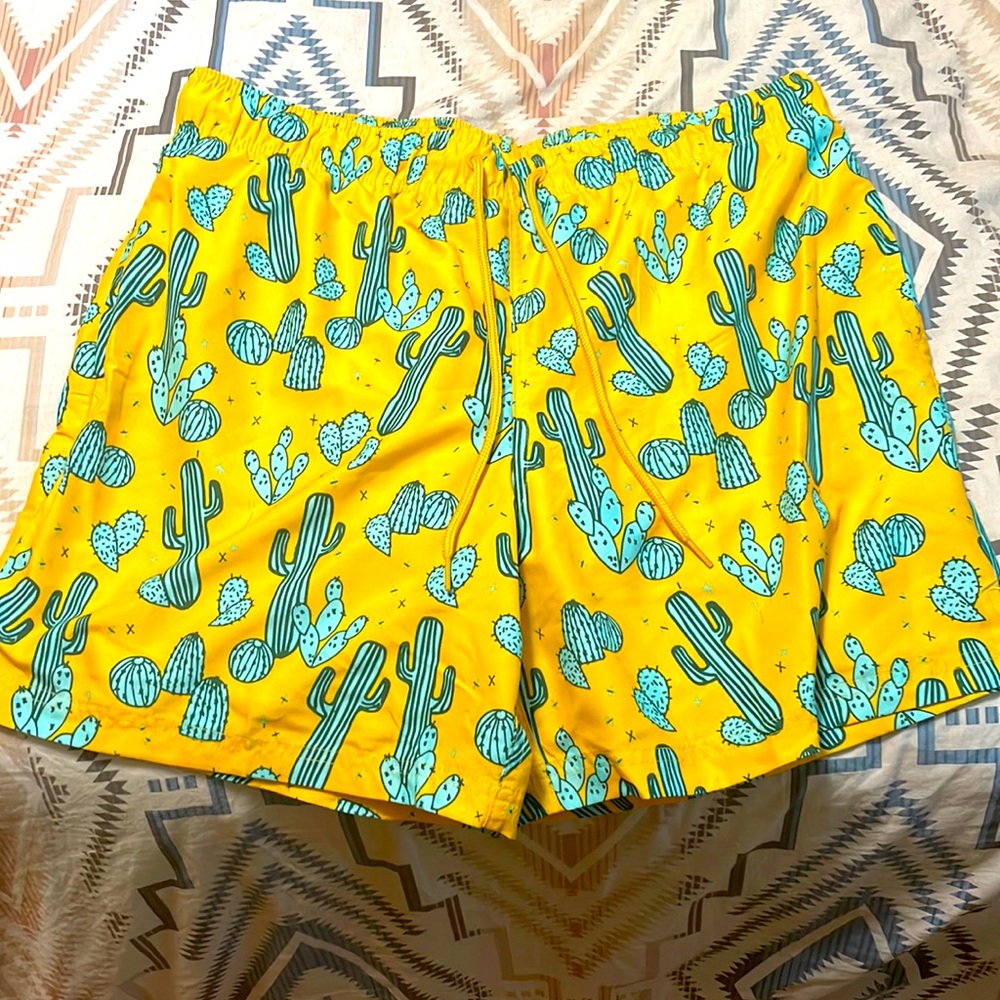 Mens cactus swim trunks